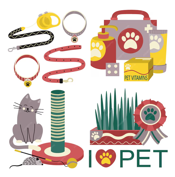 Portada accesorios