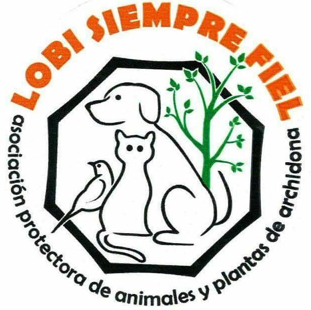 Logo protectora de animales Lobi siempre fiel