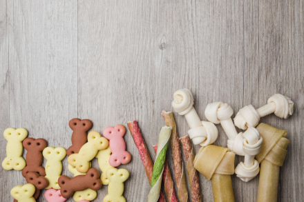 Portada snacks para perros