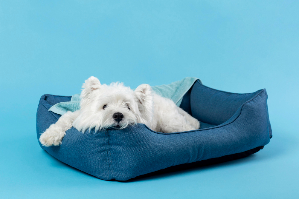 Cama azul marino 