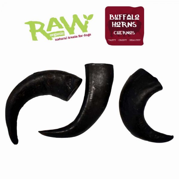 Cuernos de búfalo marca RAW