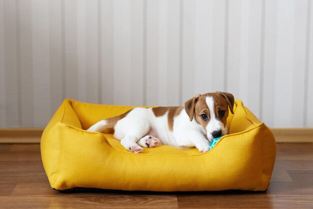 Cama color mostaza